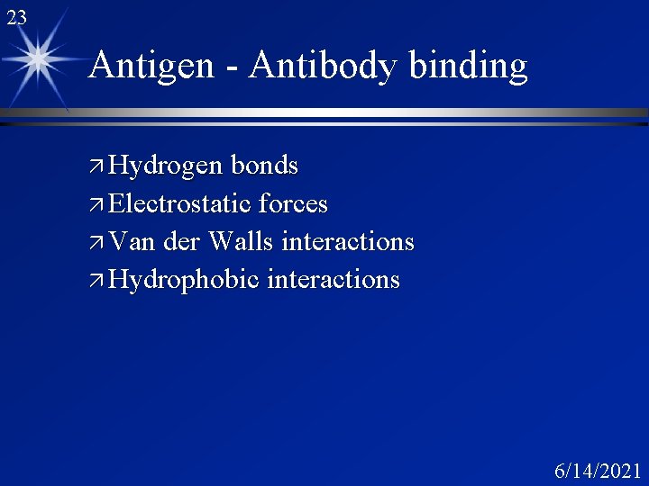 23 Antigen - Antibody binding ä Hydrogen bonds ä Electrostatic forces ä Van der