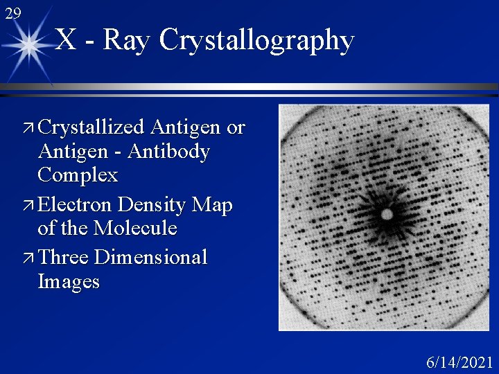 29 X - Ray Crystallography ä Crystallized Antigen or Antigen - Antibody Complex ä