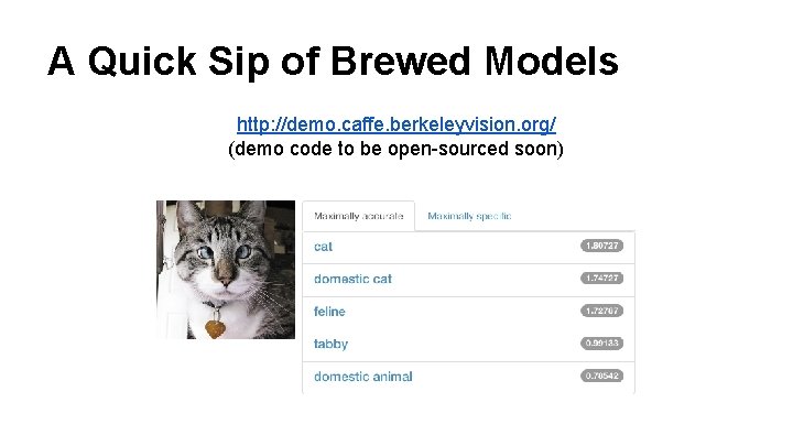 A Quick Sip of Brewed Models http: //demo. caffe. berkeleyvision. org/ (demo code to