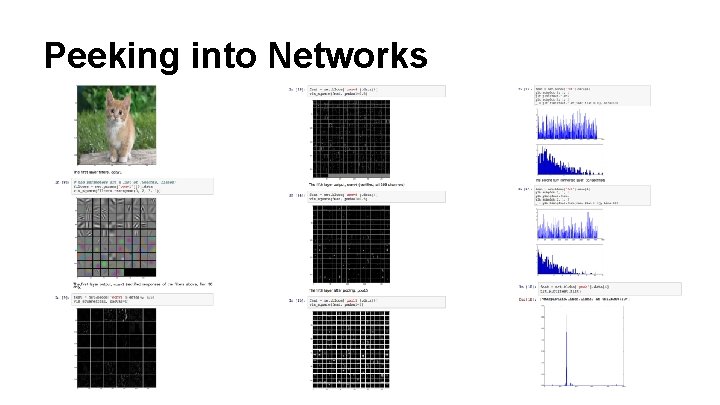 Peeking into Networks 