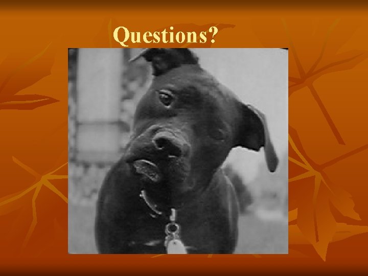 Questions? Questions?