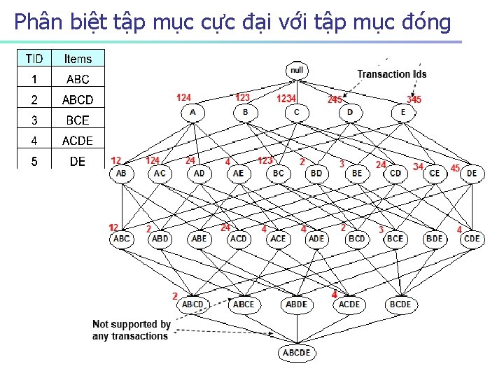 Phân biệt tập mục cực đại với tập mục đóng 