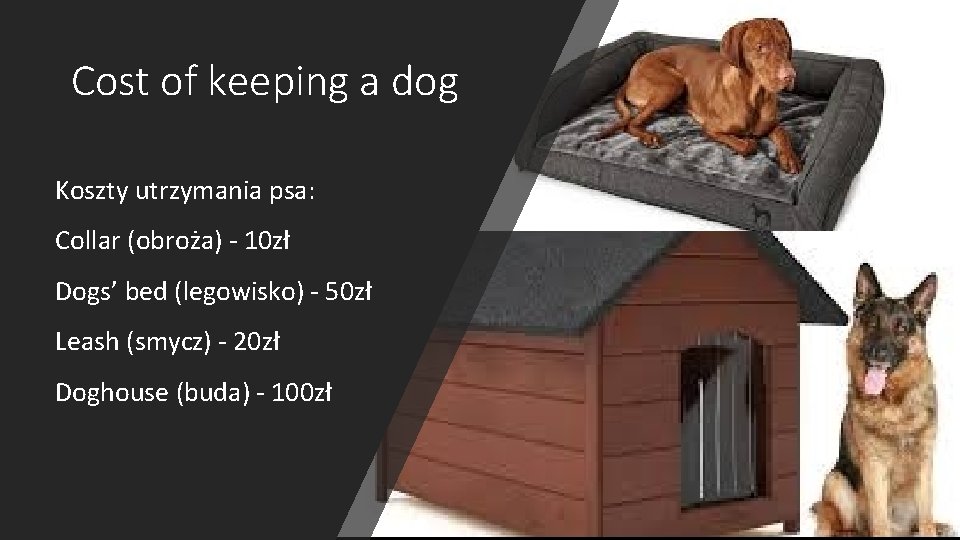 Cost of keeping a dog Koszty utrzymania psa: Collar (obroża) - 10 zł Dogs’