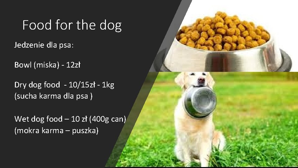 Food for the dog Jedzenie dla psa: Bowl (miska) - 12 zł Dry dog