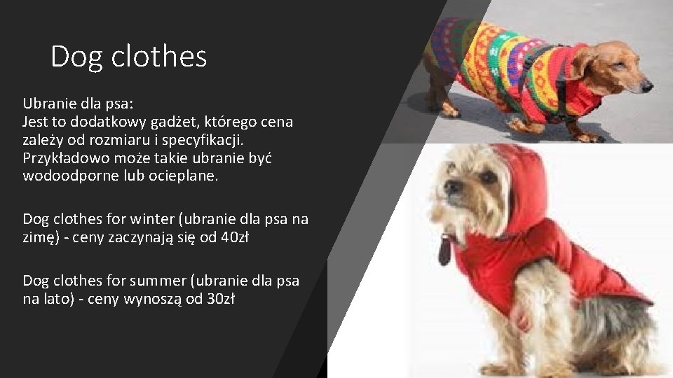 Dog clothes Ubranie dla psa: Jest to dodatkowy gadżet, którego cena zależy od rozmiaru