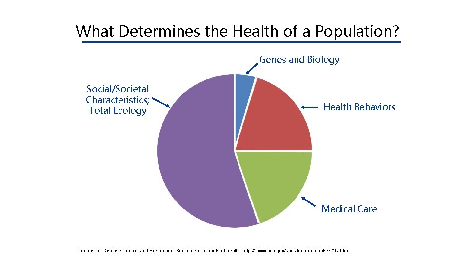 What Determines the Health of a Population? Genes and Biology Social/Societal Characteristics; Total Ecology