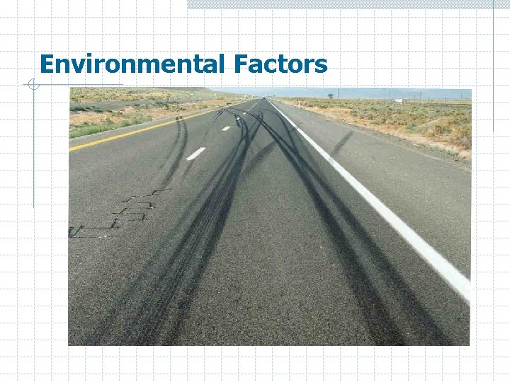 Environmental Factors 