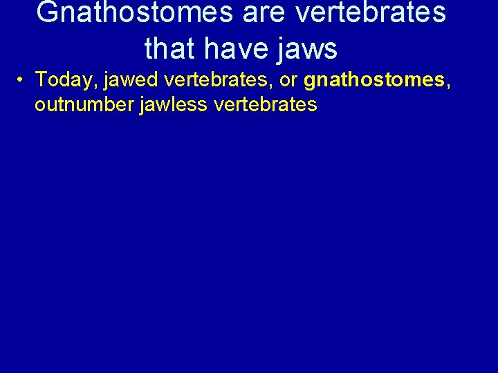 Gnathostomes are vertebrates that have jaws • Today, jawed vertebrates, or gnathostomes, outnumber jawless
