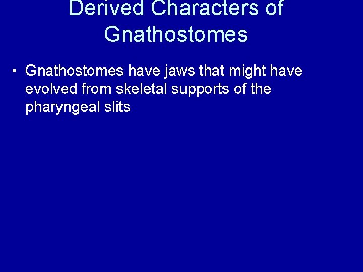 Derived Characters of Gnathostomes • Gnathostomes have jaws that might have evolved from skeletal