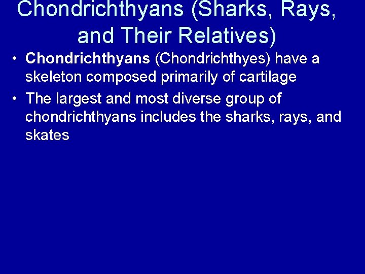 Chondrichthyans (Sharks, Rays, and Their Relatives) • Chondrichthyans (Chondrichthyes) have a skeleton composed primarily