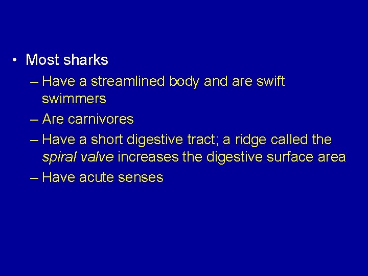  • Most sharks – Have a streamlined body and are swift swimmers –