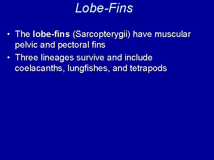 Lobe-Fins • The lobe-fins (Sarcopterygii) have muscular pelvic and pectoral fins • Three lineages