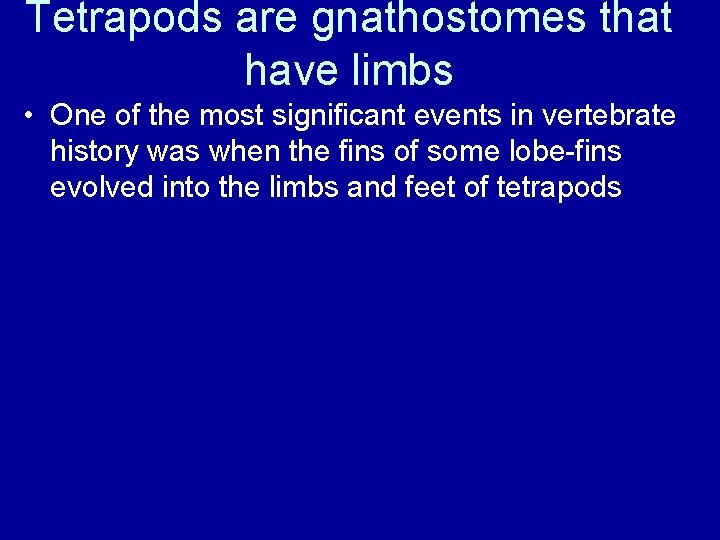 Tetrapods are gnathostomes that have limbs • One of the most significant events in