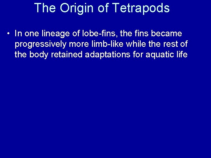 The Origin of Tetrapods • In one lineage of lobe-fins, the fins became progressively