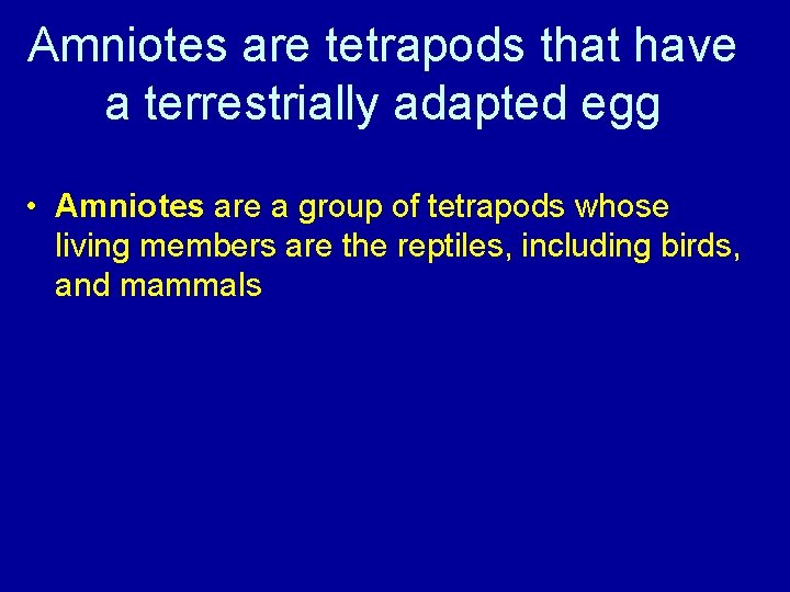 Amniotes are tetrapods that have a terrestrially adapted egg • Amniotes are a group