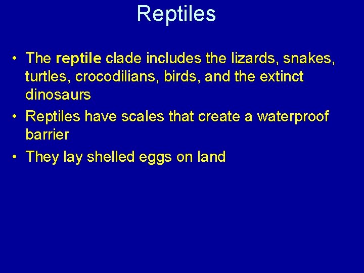 Reptiles • The reptile clade includes the lizards, snakes, turtles, crocodilians, birds, and the