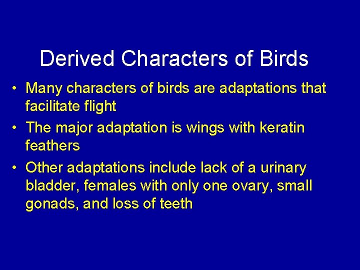 Derived Characters of Birds • Many characters of birds are adaptations that facilitate flight