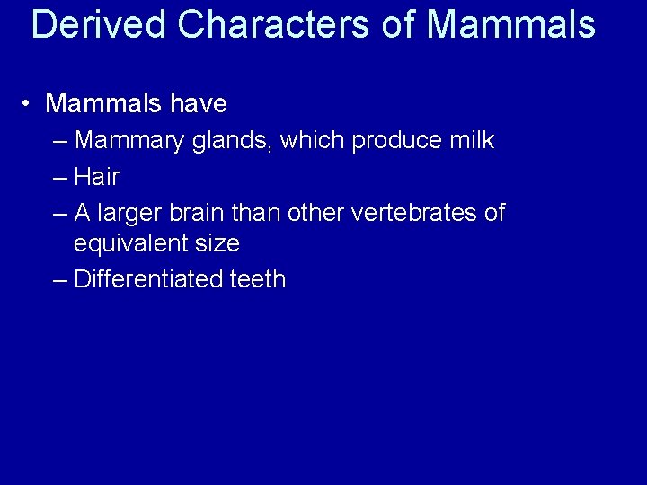 Derived Characters of Mammals • Mammals have – Mammary glands, which produce milk –