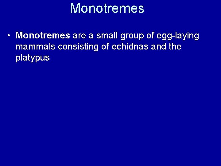 Monotremes • Monotremes are a small group of egg-laying mammals consisting of echidnas and