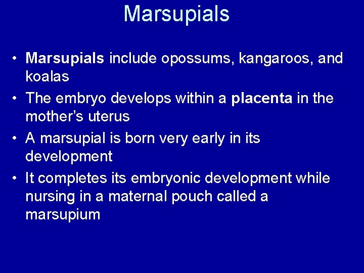 Marsupials • Marsupials include opossums, kangaroos, and koalas • The embryo develops within a