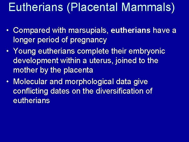 Eutherians (Placental Mammals) • Compared with marsupials, eutherians have a longer period of pregnancy