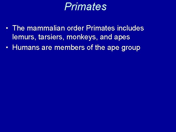 Primates • The mammalian order Primates includes lemurs, tarsiers, monkeys, and apes • Humans