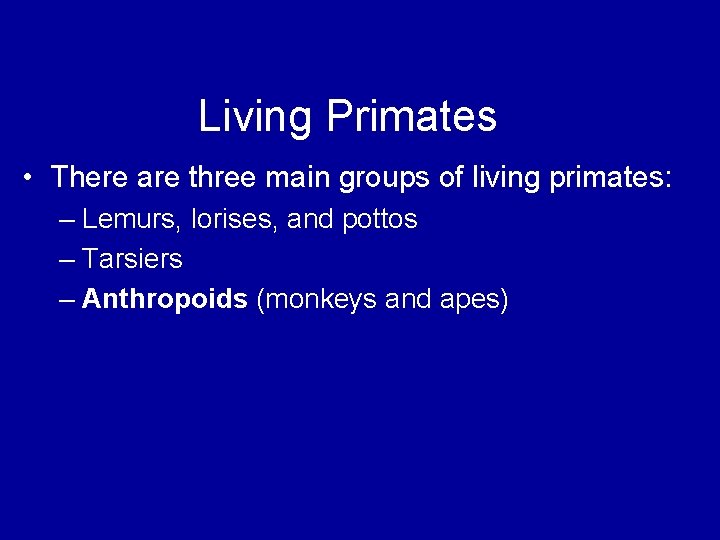 Living Primates • There are three main groups of living primates: – Lemurs, lorises,