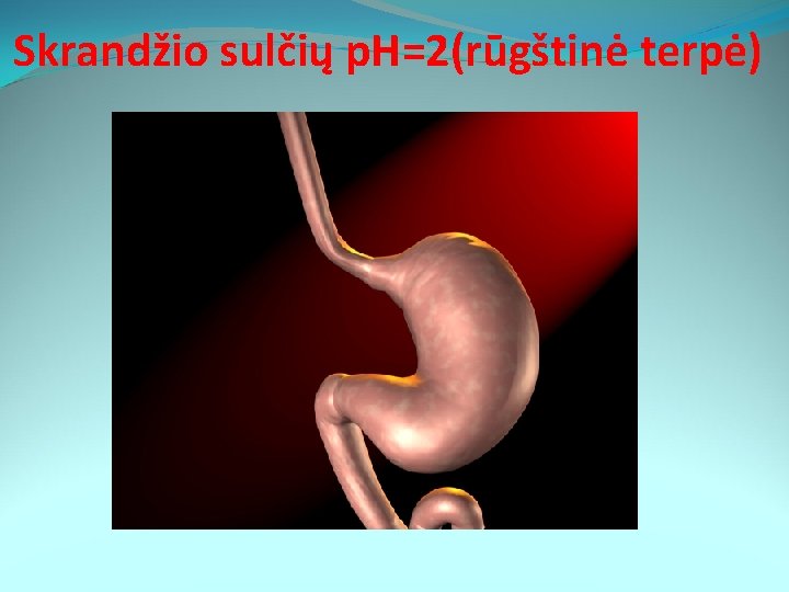 Skrandžio sulčių p. H=2(rūgštinė terpė) 