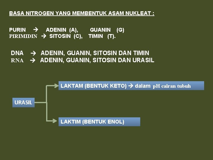 BASA NITROGEN YANG MEMBENTUK ASAM NUKLEAT : PURIN ADENIN (A), PIRIMIDIN SITOSIN (C), DNA