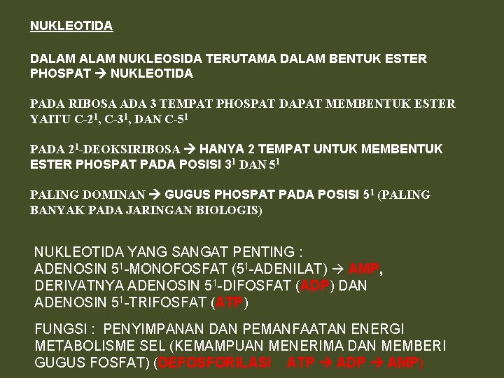 NUKLEOTIDA DALAM NUKLEOSIDA TERUTAMA DALAM BENTUK ESTER PHOSPAT NUKLEOTIDA PADA RIBOSA ADA 3 TEMPAT