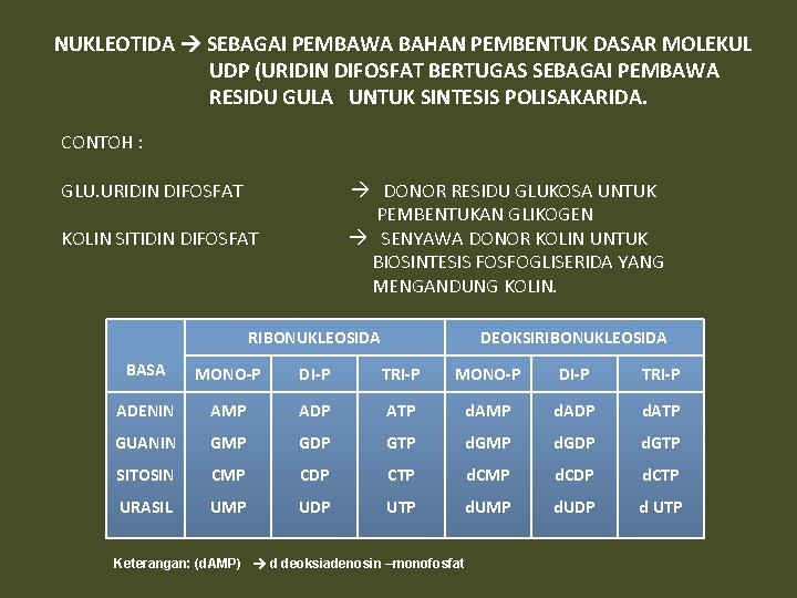 NUKLEOTIDA SEBAGAI PEMBAWA BAHAN PEMBENTUK DASAR MOLEKUL UDP (URIDIN DIFOSFAT BERTUGAS SEBAGAI PEMBAWA RESIDU