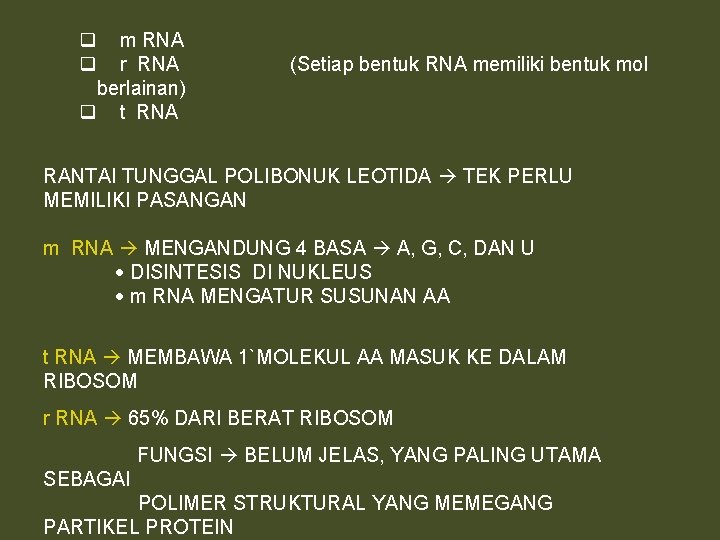 q m RNA q r RNA berlainan) q t RNA (Setiap bentuk RNA memiliki