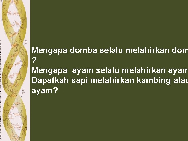 Mengapa domba selalu melahirkan dom ? Mengapa ayam selalu melahirkan ayam Dapatkah sapi melahirkan