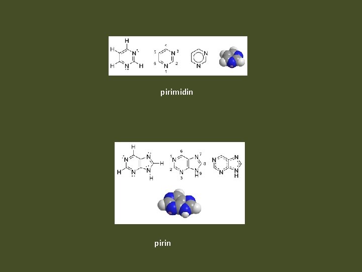 pirimidin pirin 