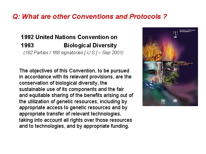 Q: What are other Conventions and Protocols ? 1992 United Nations Convention on 1993