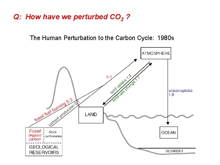 Q: How have we perturbed CO 2 ? The Human Perturbation to the Carbon