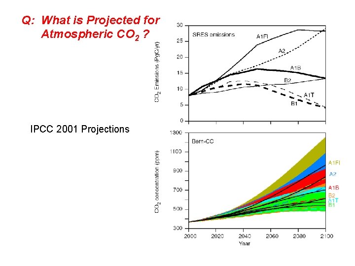 Q: What is Projected for Atmospheric CO 2 ? IPCC 2001 Projections 