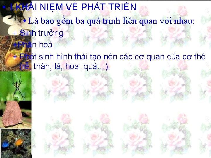  • I. KHÁI NIỆM VỀ PHÁT TRIỂN • Là bao gồm ba quá