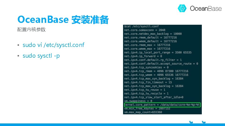 Ocean. Base 安装准备 配置内核参数 • sudo vi /etc/sysctl. conf • sudo sysctl -p 