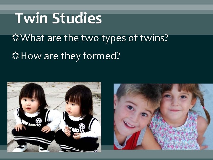 Twin Studies What are the two types of twins? How are they formed? 