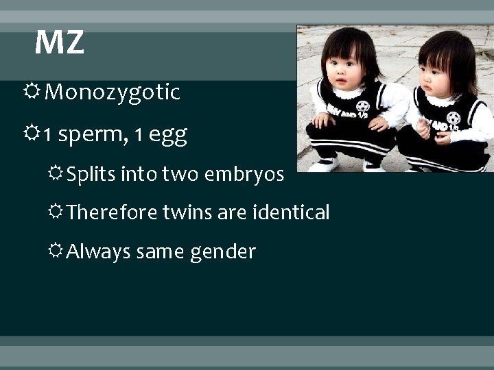 MZ Monozygotic 1 sperm, 1 egg Splits into two embryos Therefore twins are identical