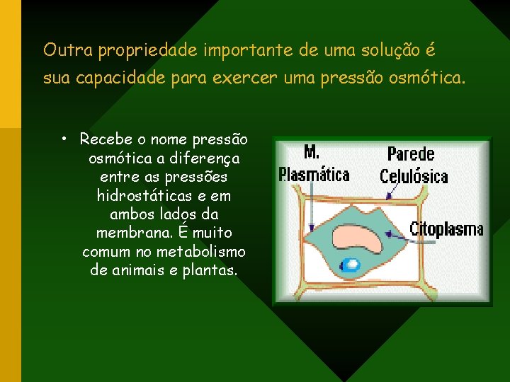 Outra propriedade importante de uma solução é sua capacidade para exercer uma pressão osmótica.