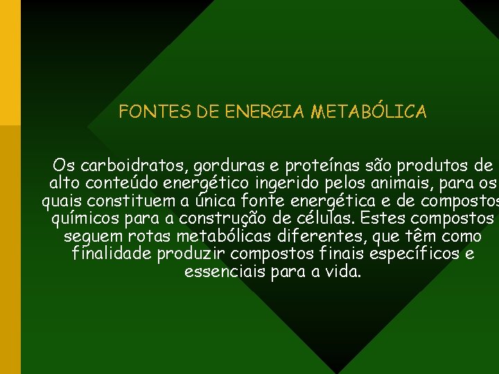 FONTES DE ENERGIA METABÓLICA Os carboidratos, gorduras e proteínas são produtos de alto conteúdo
