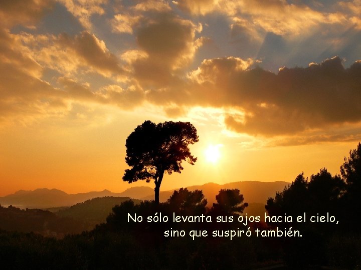 No sólo levanta sus ojos hacia el cielo, sino que suspiró también. 