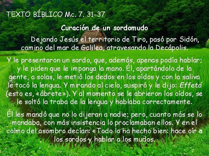 TEXTO BÍBLICO Mc. 7. 31 -37 Curación de un sordomudo Dejando Jesús el territorio