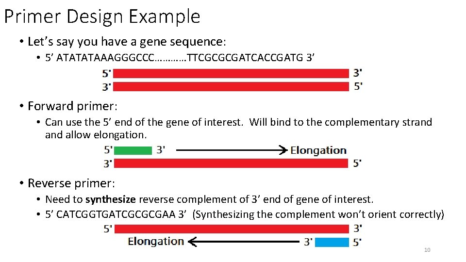 Primer Design Example • Let’s say you have a gene sequence: • 5’ ATATATAAAGGGCCC…………TTCGCGCGATCACCGATG