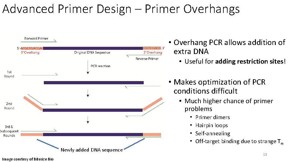 Cloning Overview 42919 Monday Night Meeting Ben Maldonato
