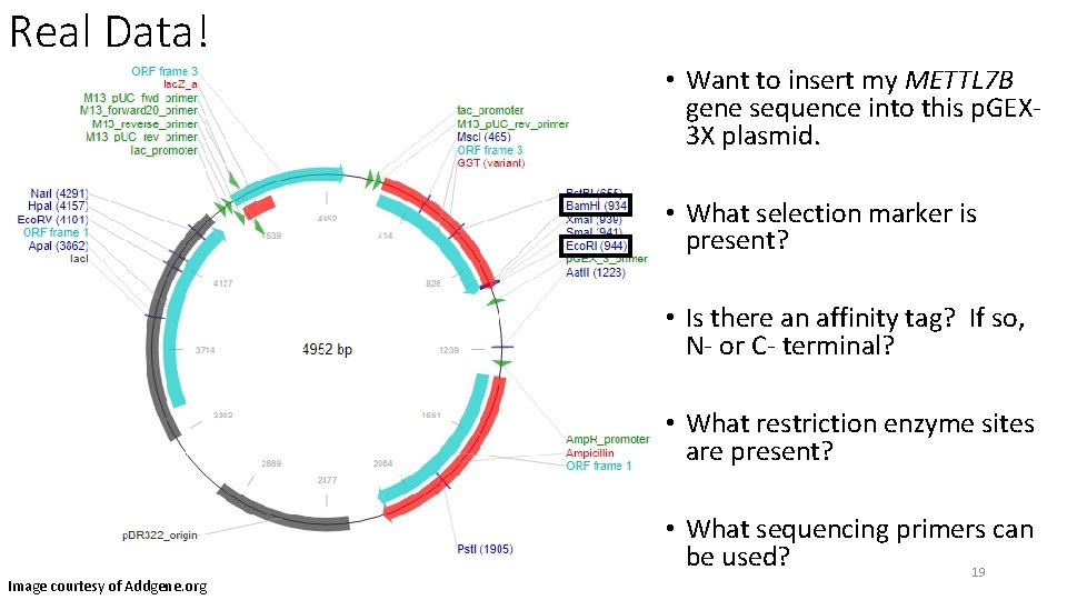 Real Data! • Want to insert my METTL 7 B gene sequence into this