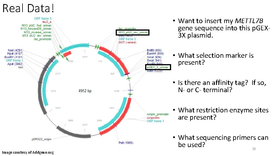 Real Data! • Want to insert my METTL 7 B gene sequence into this