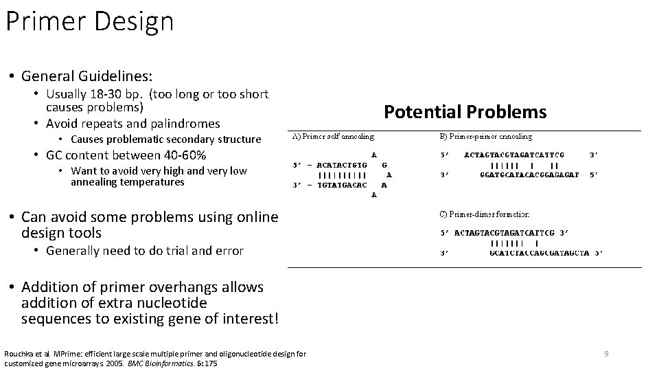 Primer Design • General Guidelines: • Usually 18 -30 bp. (too long or too
